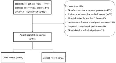 A prediction and interpretation machine learning framework of mortality risk among severe infection patients with pseudomonas aeruginosa